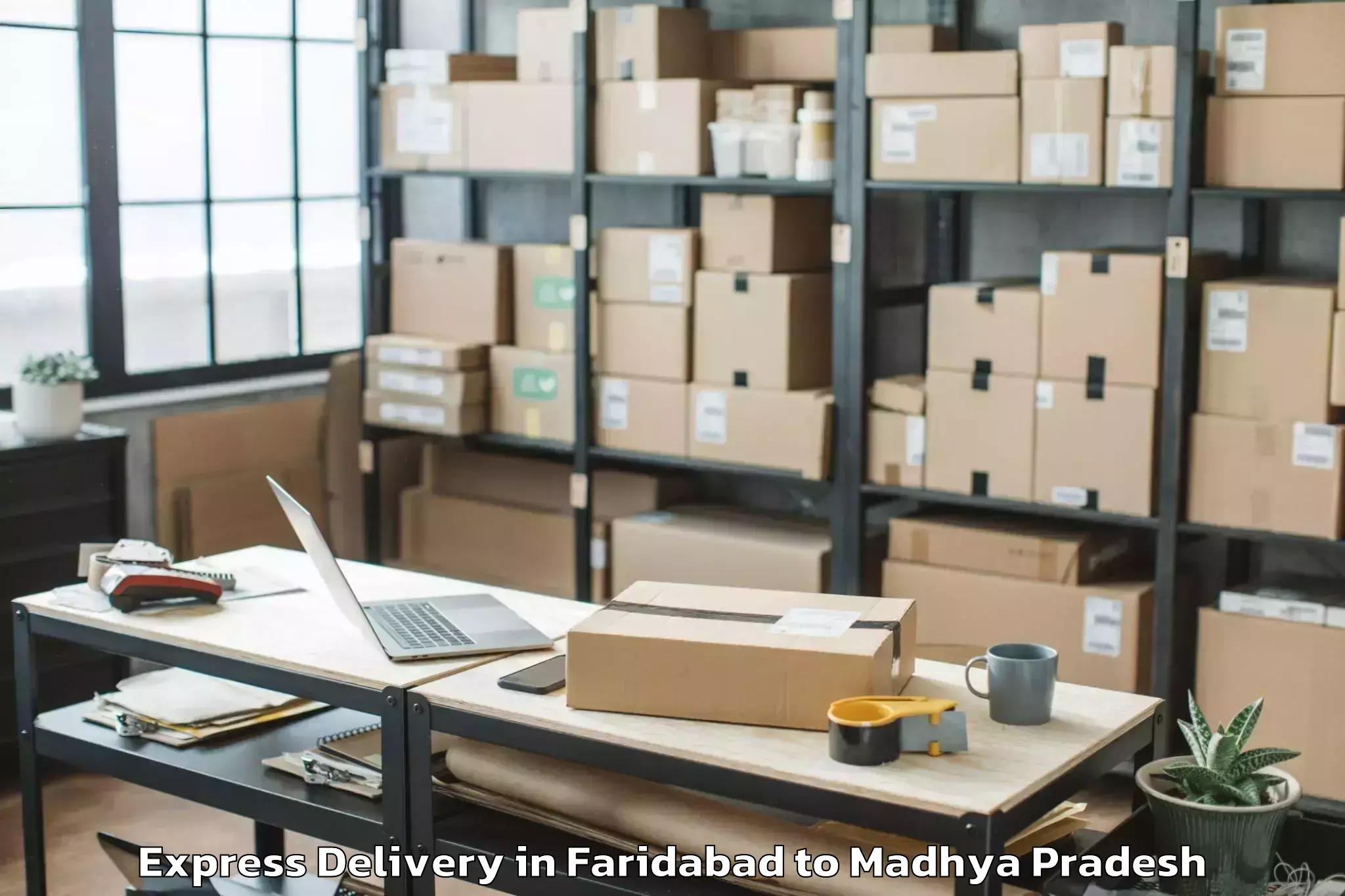 Book Faridabad to Manawar Express Delivery Online